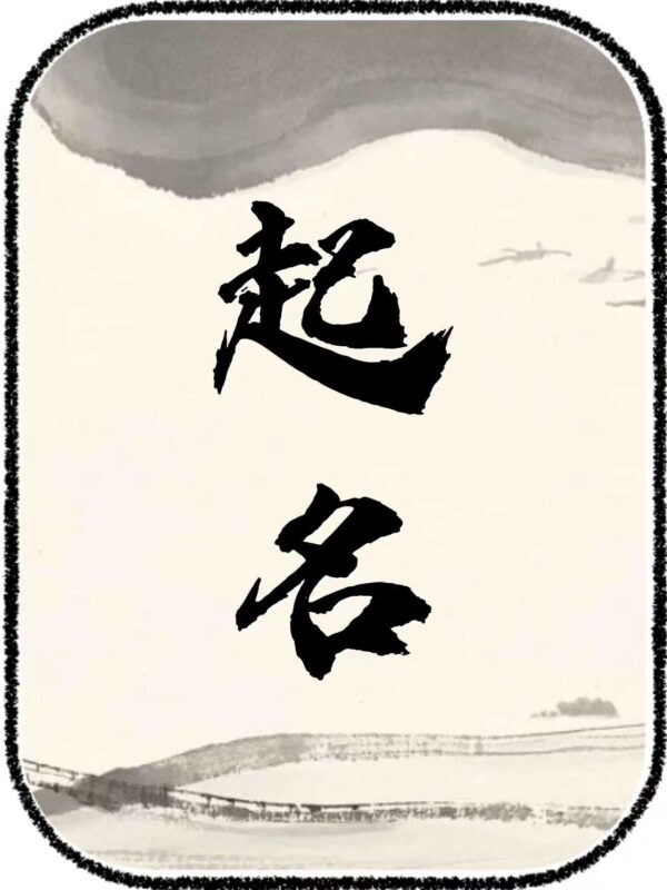 起名、改名（高级咨询）