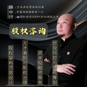 b2e3e7b02d0773006b8774a720b550ed 薛中行:股权咨询