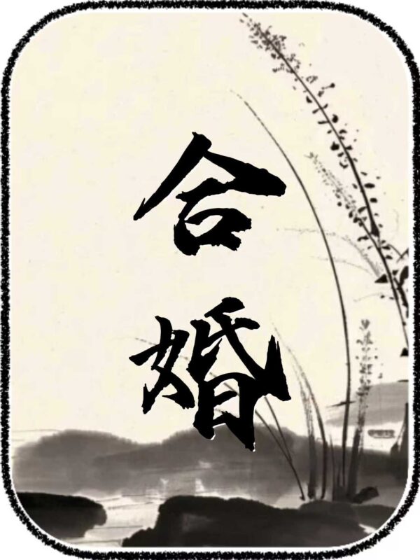 专项事宜（高级咨询）